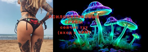 прущая мука Белоозёрский