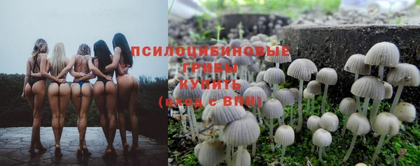 трава Семикаракорск